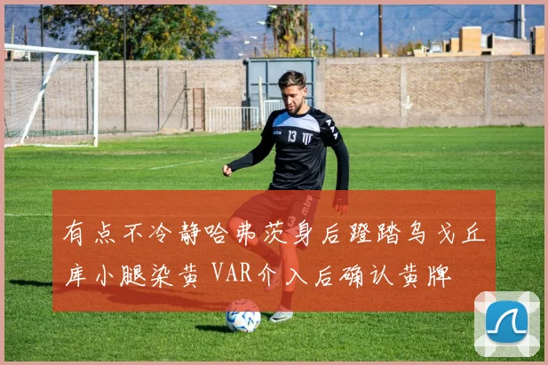 有点不冷静哈弗茨身后蹬踏乌戈丘库小腿染黄 VAR介入后确认黄牌